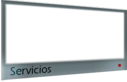 Servicios